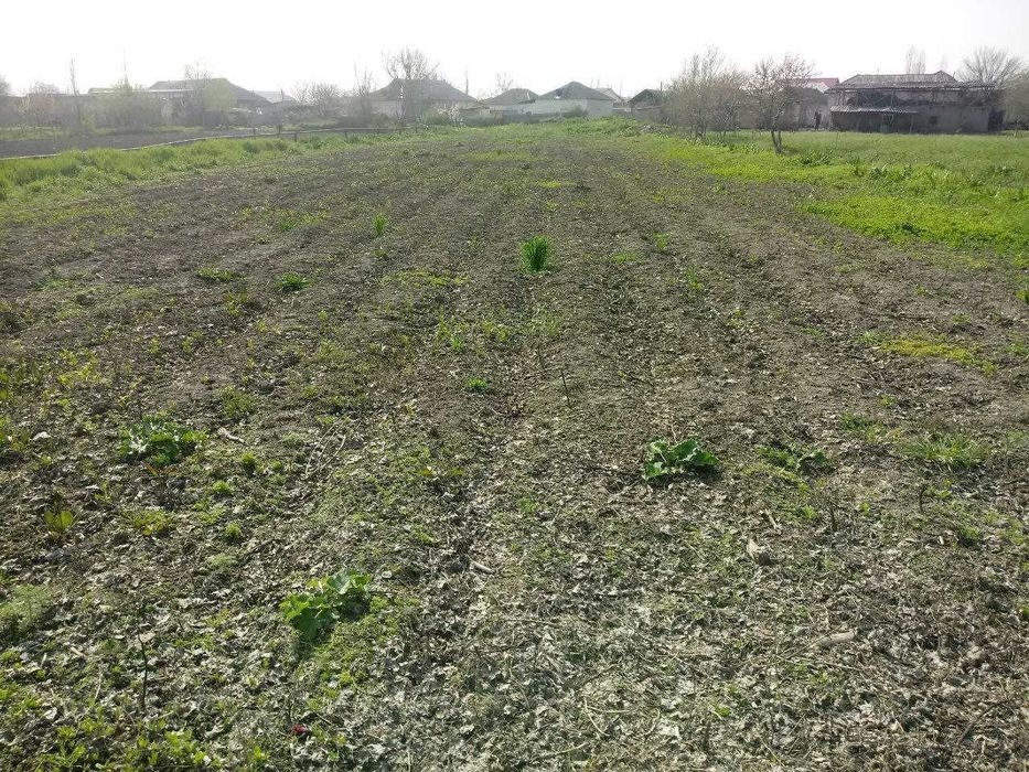 Продается земля с домиком 5 комнат. Уртачирчикский район. Кучлюк.