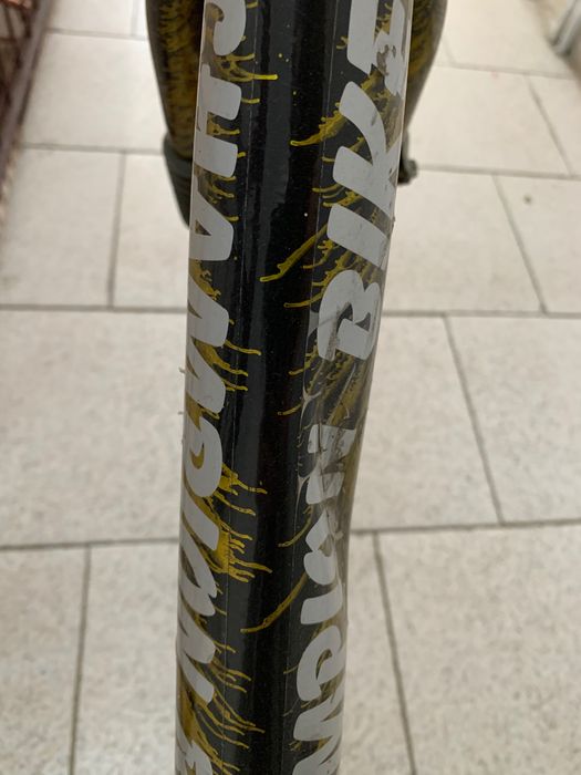 Bicicleta champion bike, Taiwan