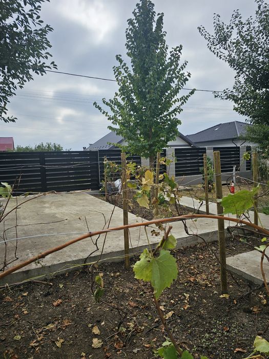 Vand casa in Aroneanu