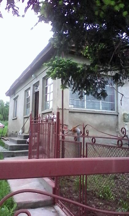 Casa/teren de vanzare viile satu mare