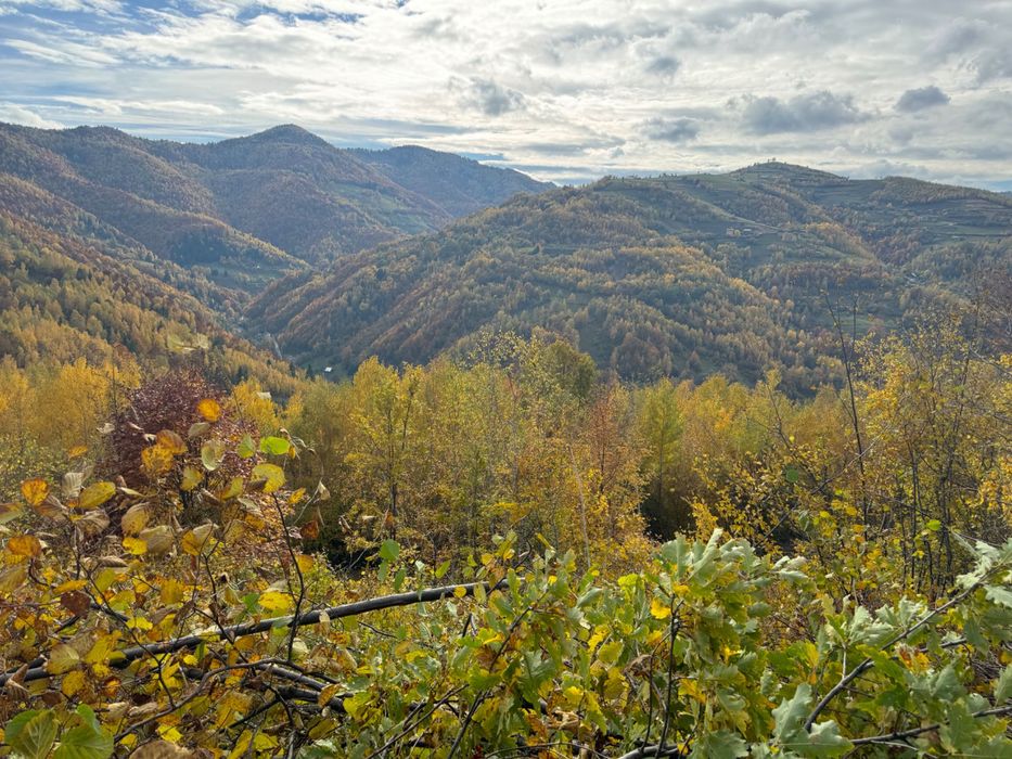 Parcele de vinzare la Muntele Rece, Cluj/schimb cu auto