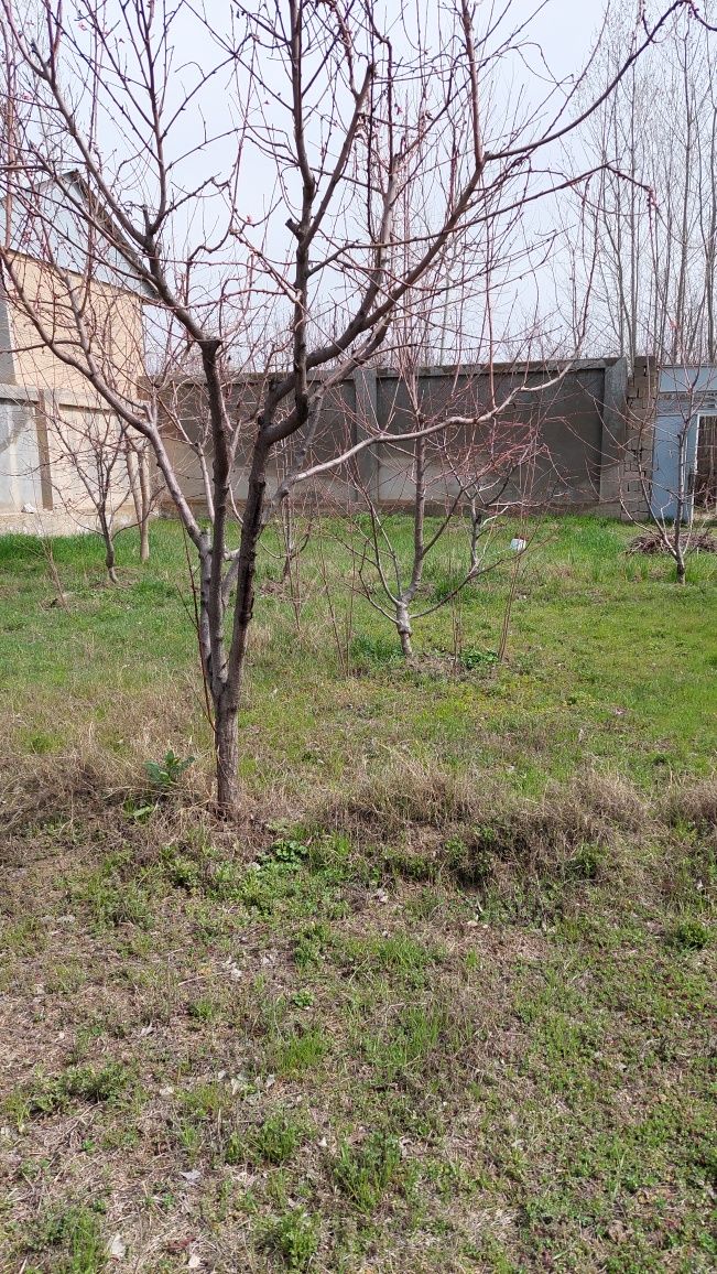 Ховли сотилади самарканд туман Янгижой, Зафаробод махаласи