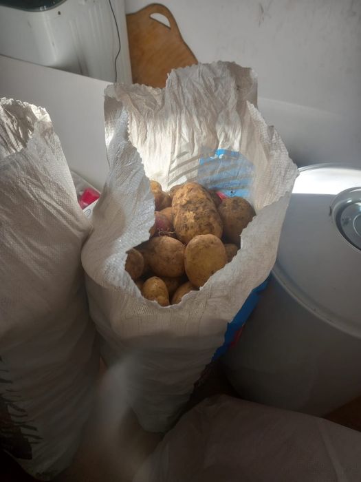 Продам картошку