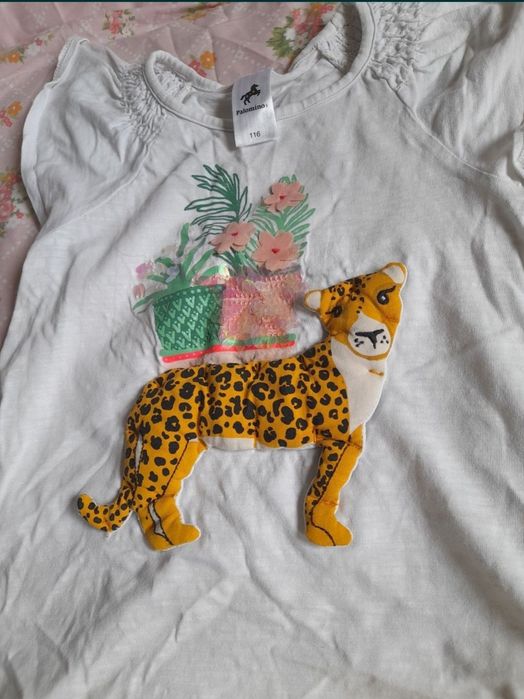 set 3 haine fata 116 5 6 ani pantaloni scurti c&a mayoral impecabile