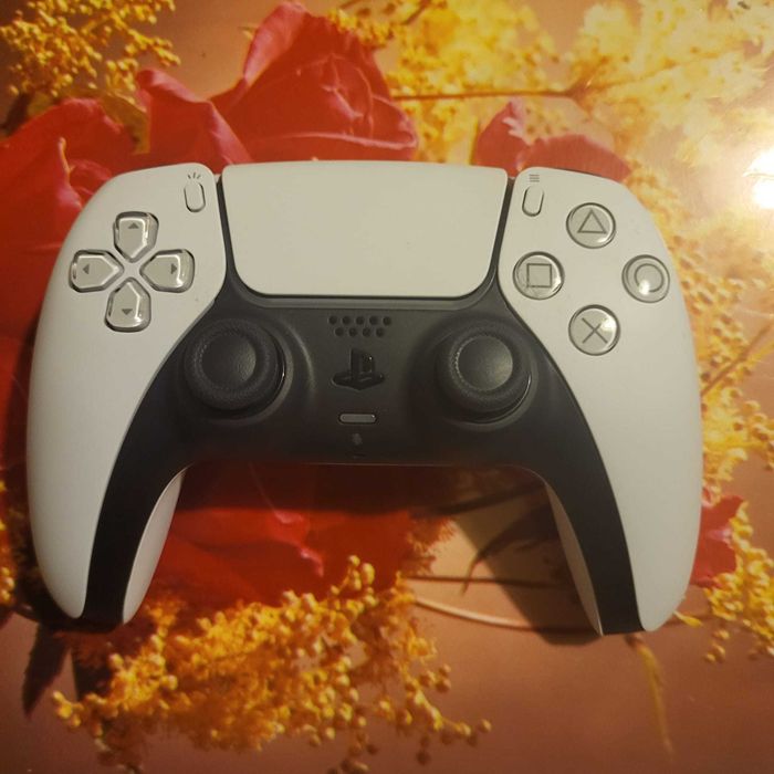 PS5 Dualsense Controller