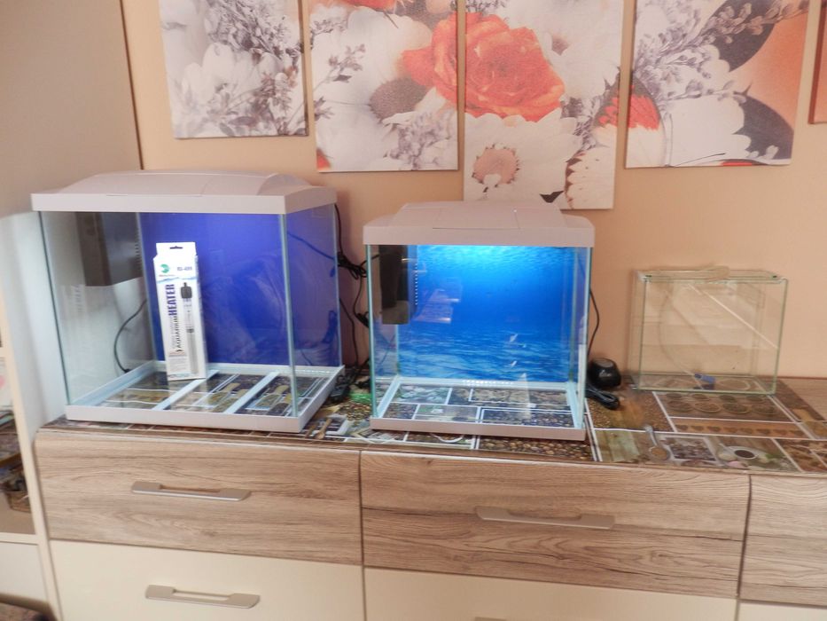 Аквариуми + оборудване