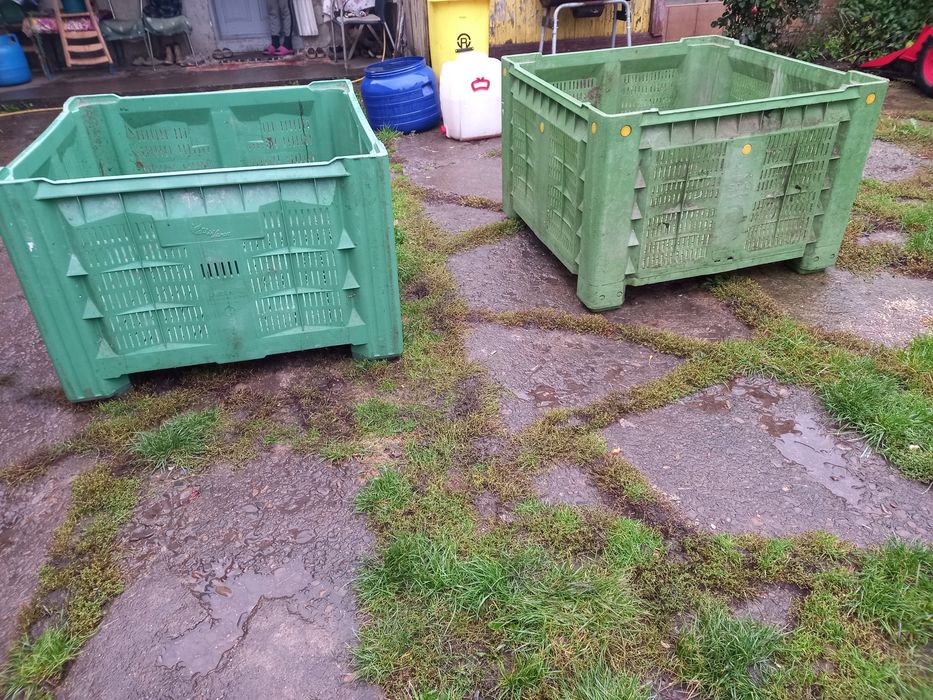 Box palet plastic
