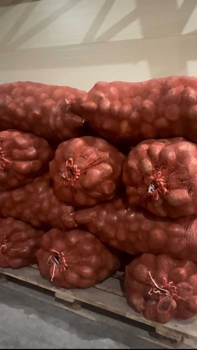 Картофель местный