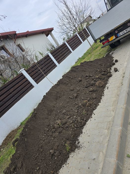 Pamant vegetal negru București sector 1 2 3 4 5 6 Ilfov Mogoșoaia