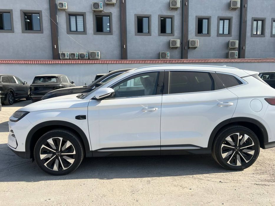 BYD Chempion smart edition 2026 versia