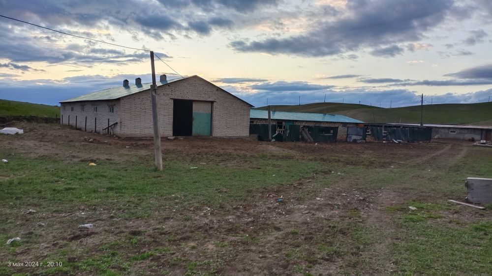 Продам крестьянское хозяйство