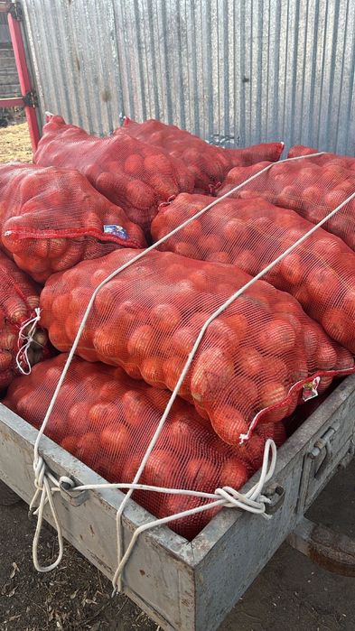 Продам картошку.