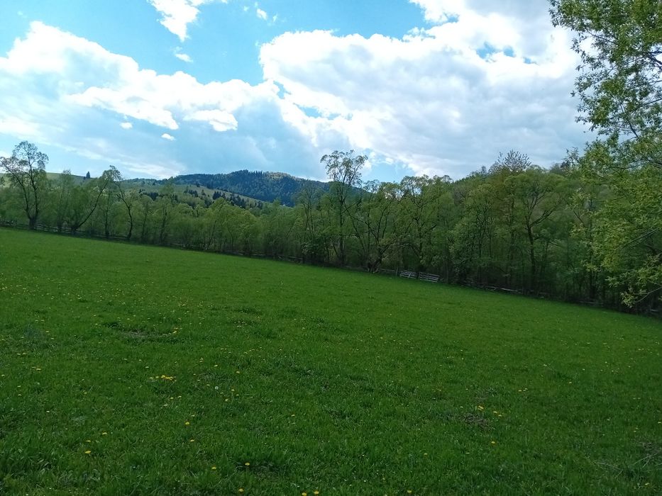 De vânzare teren extravilan 7.300 mp, Sălătruc, Vama, Suceava