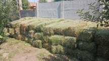 Vand balotii de lucernă