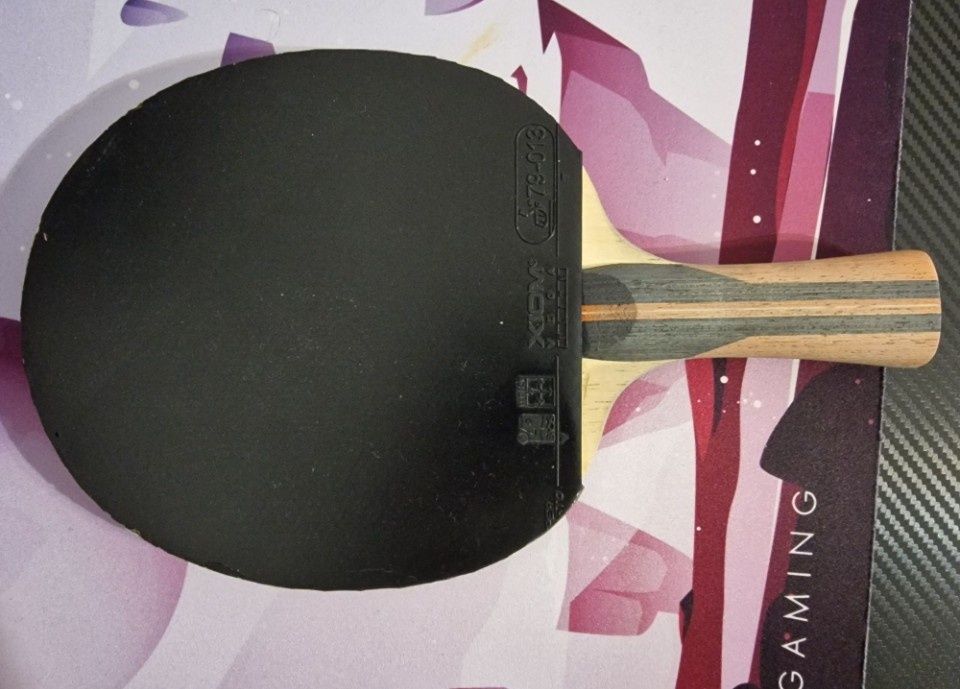 Paleta tenis de masa