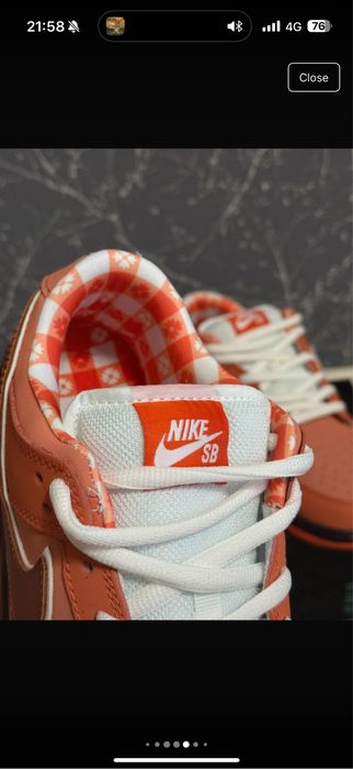 Nike dunk SB lobster orange