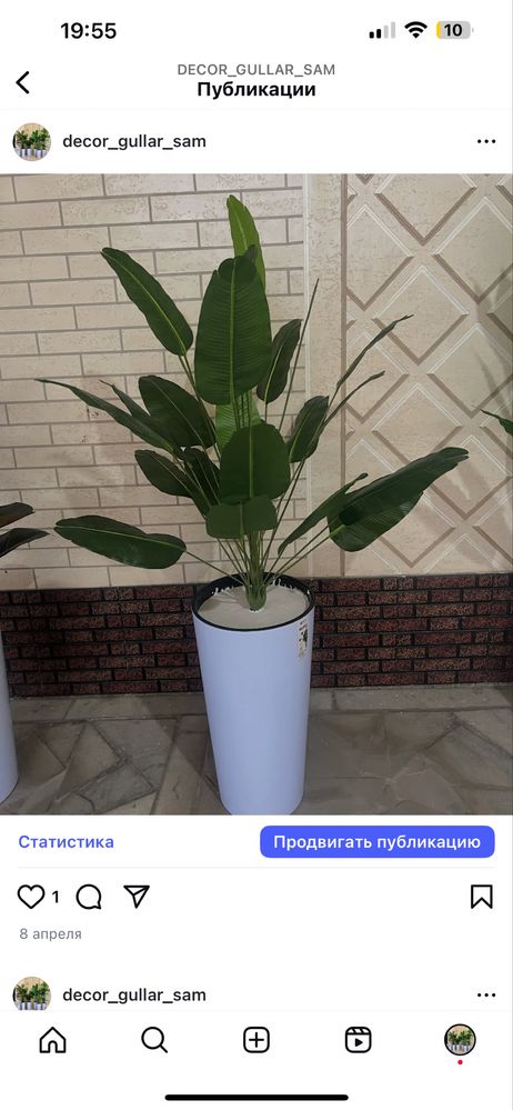 decor gullar sotiladi