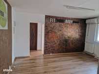 Apartament Brazda p/4,renovat