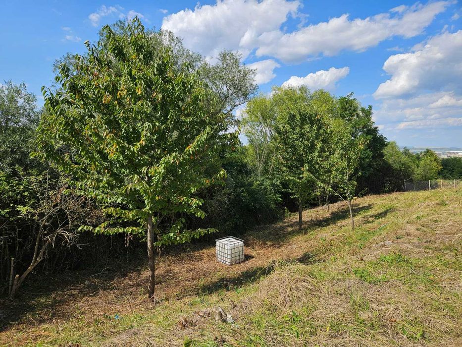 terenuri de vanzare Aiton