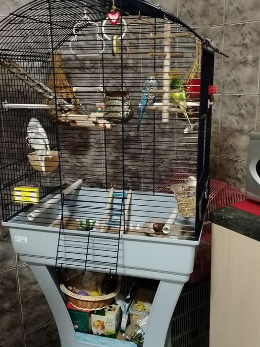 Vând cușcă papagali