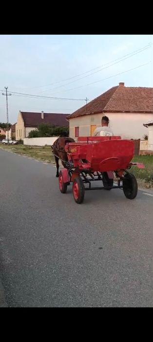 De vânzare trăsura sau schimb cu vitei