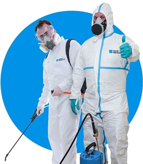 Дезинфекция клопы тараканы