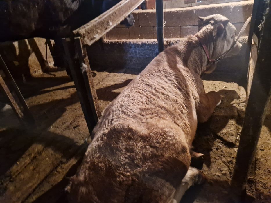 Түргень ТүргенТүргень