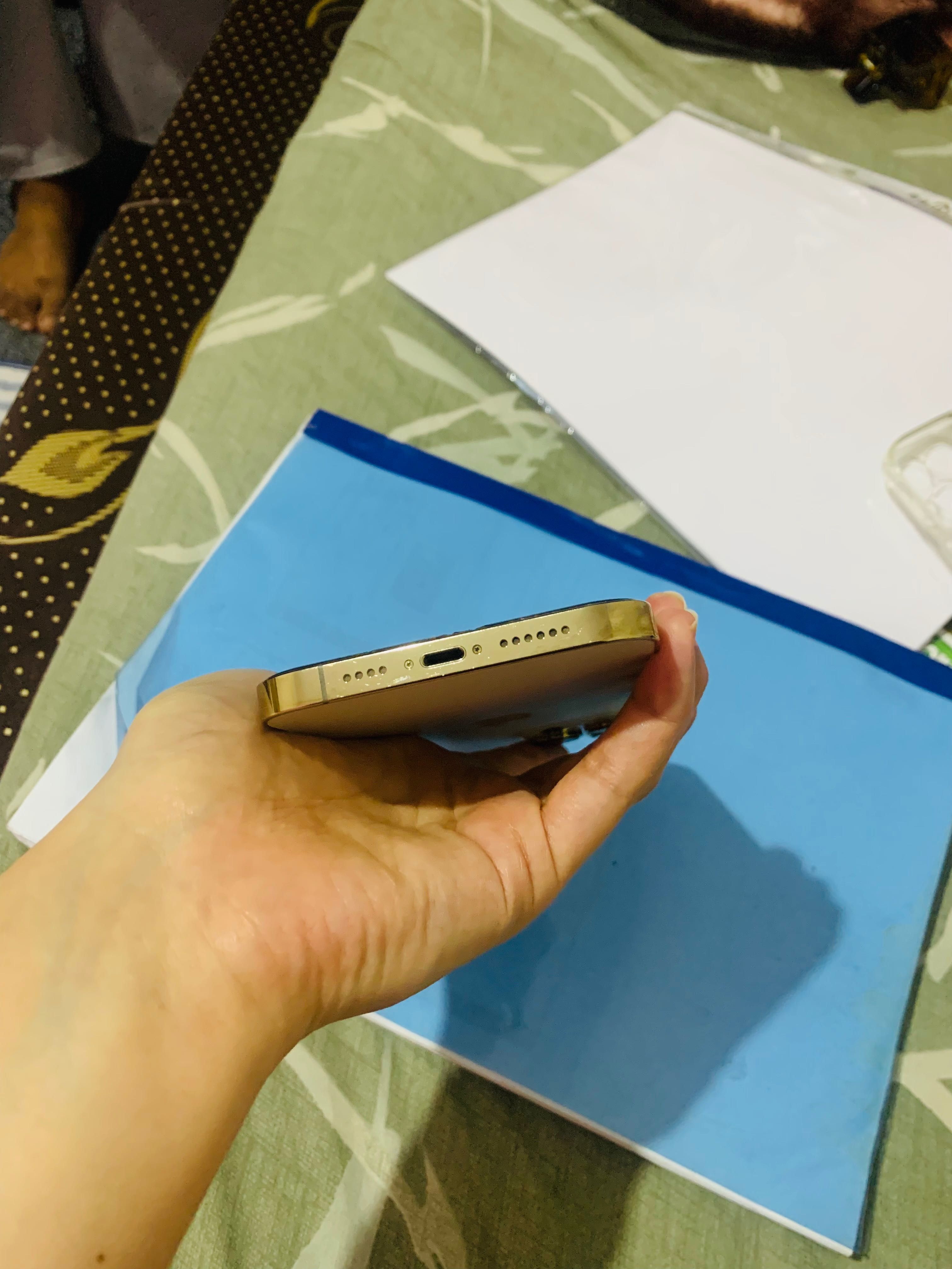 iPhone 13 Pro Max