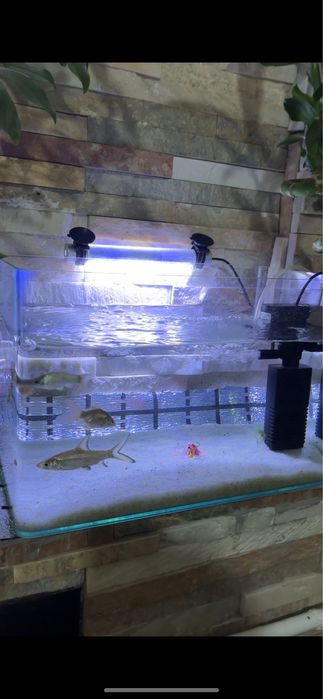 Продаю аквариум с фильтром и освещением