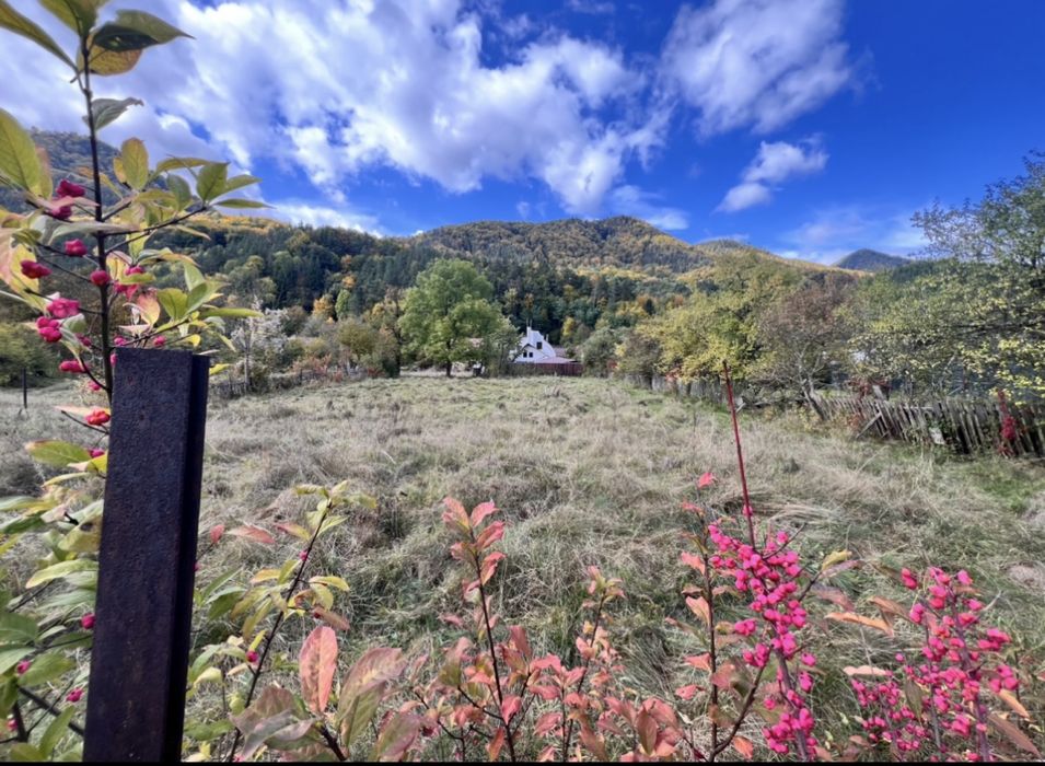 Închiriez teren centrul localitatii Hârja. Pe termen lung.