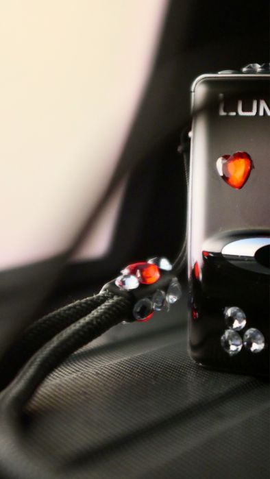 Panasonic LUMIX DMC-FX8 5.0MP Digital Camera