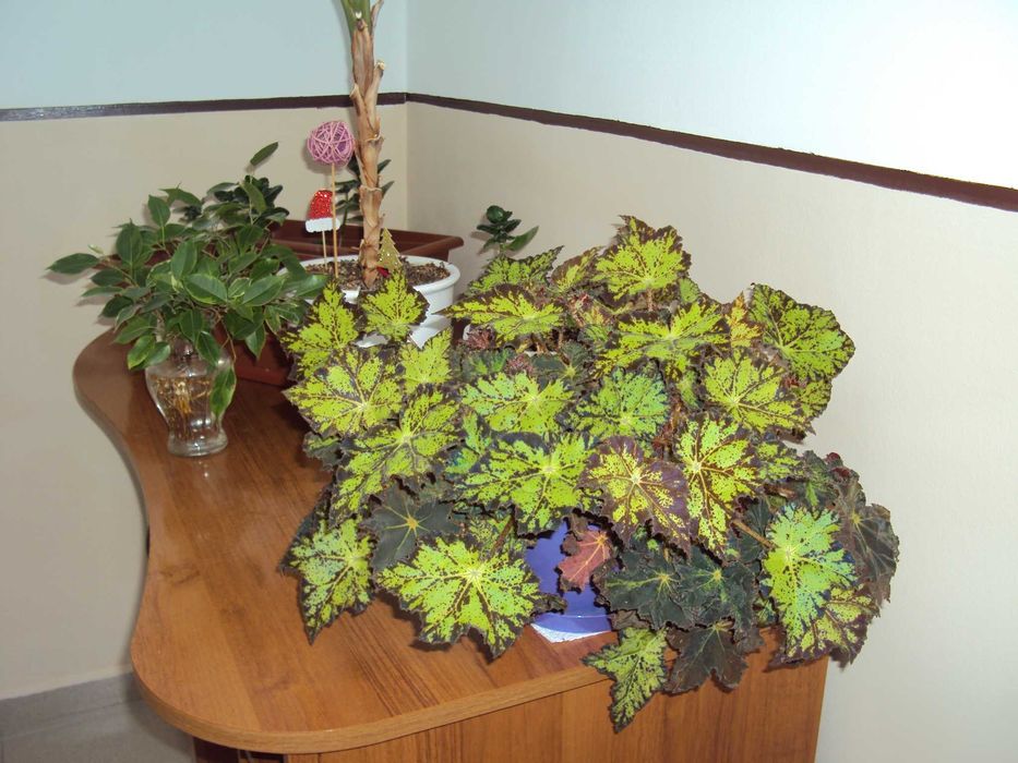 Sony Cyber-shot DSC-W180 10.1MPx