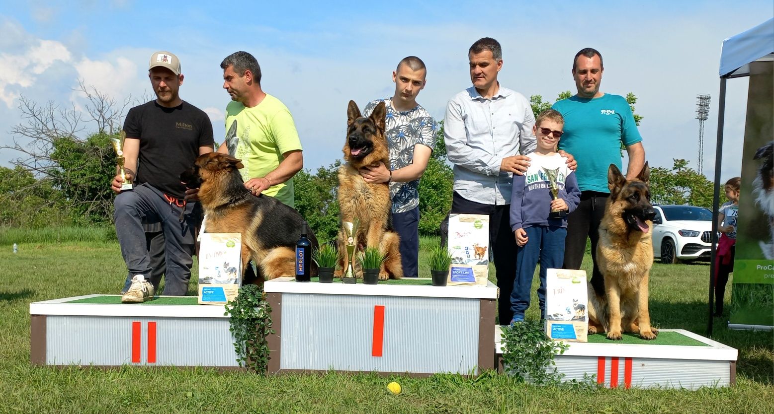 Развъдник за Немски овчарки
