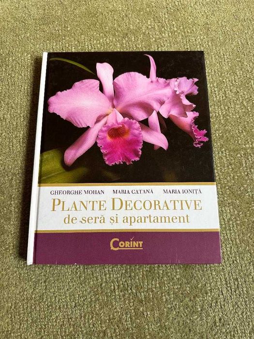 Plante decorative de sera si apartament