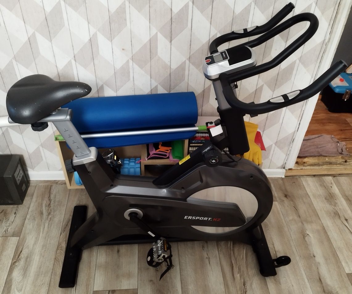 Велотренажер ERSPORT Spin Bike D9 v2.0 вертикальный