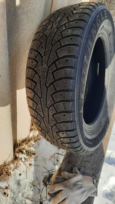 Зимние шины Triangle