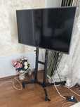 Televizor LG 4K Led 108cm + Suport Stand Mobil