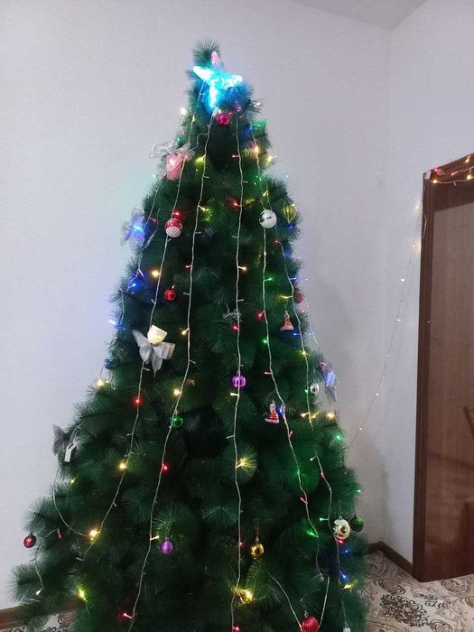 Арча сотилади.Янги холатда турибти.