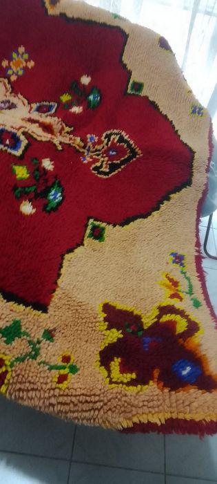 Голям вълнен китеник