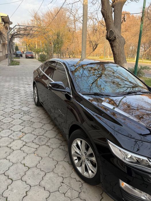 Malibu 2 Premier  2022