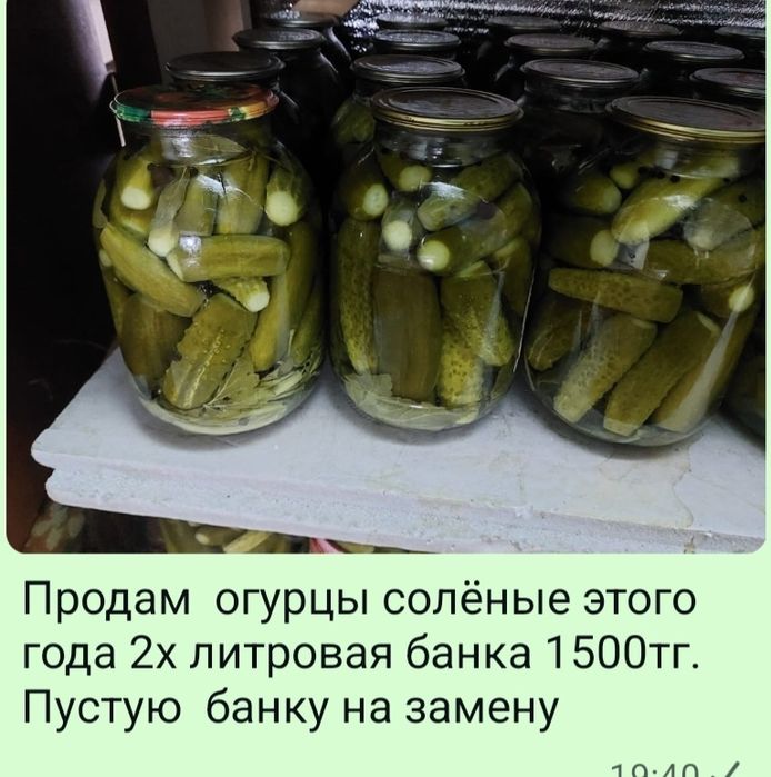 Огурцы солёные этого года