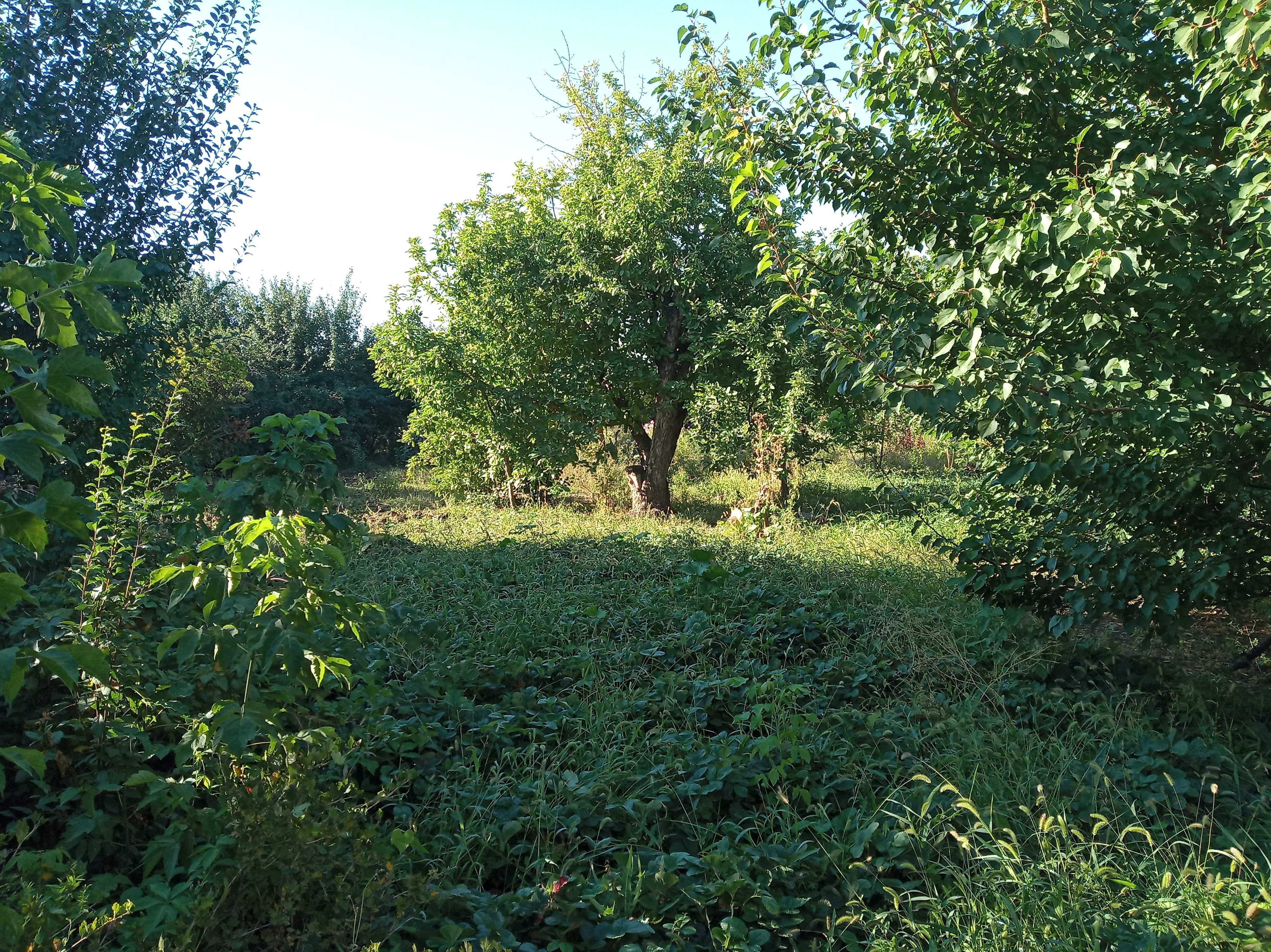 Продам участок, с/о Локомотив. р-н "Айгуль"