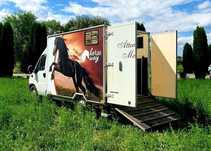 Citroen jumper transport animale