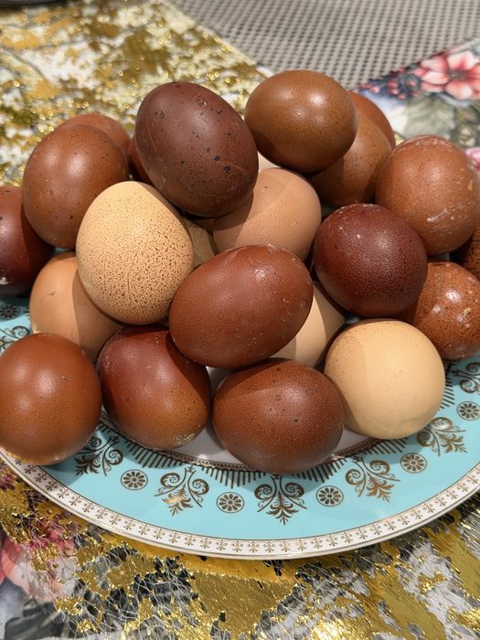 Продам Яйцо домашнее