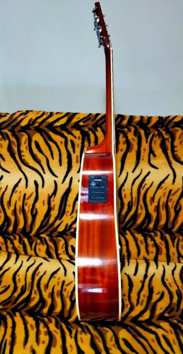 Електро акустична китара C.Giant с Fishman 301