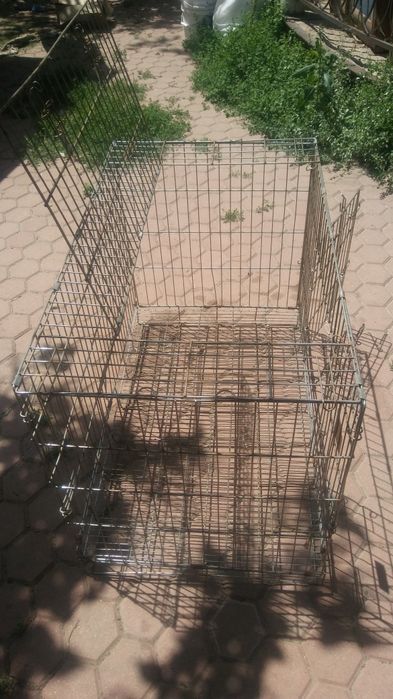 Клетка для чихуа хуа