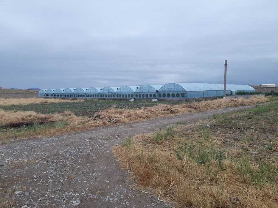 Теплица, паррандачилик, корамол Фермаси (птицеферма, иссикхона, чорва)