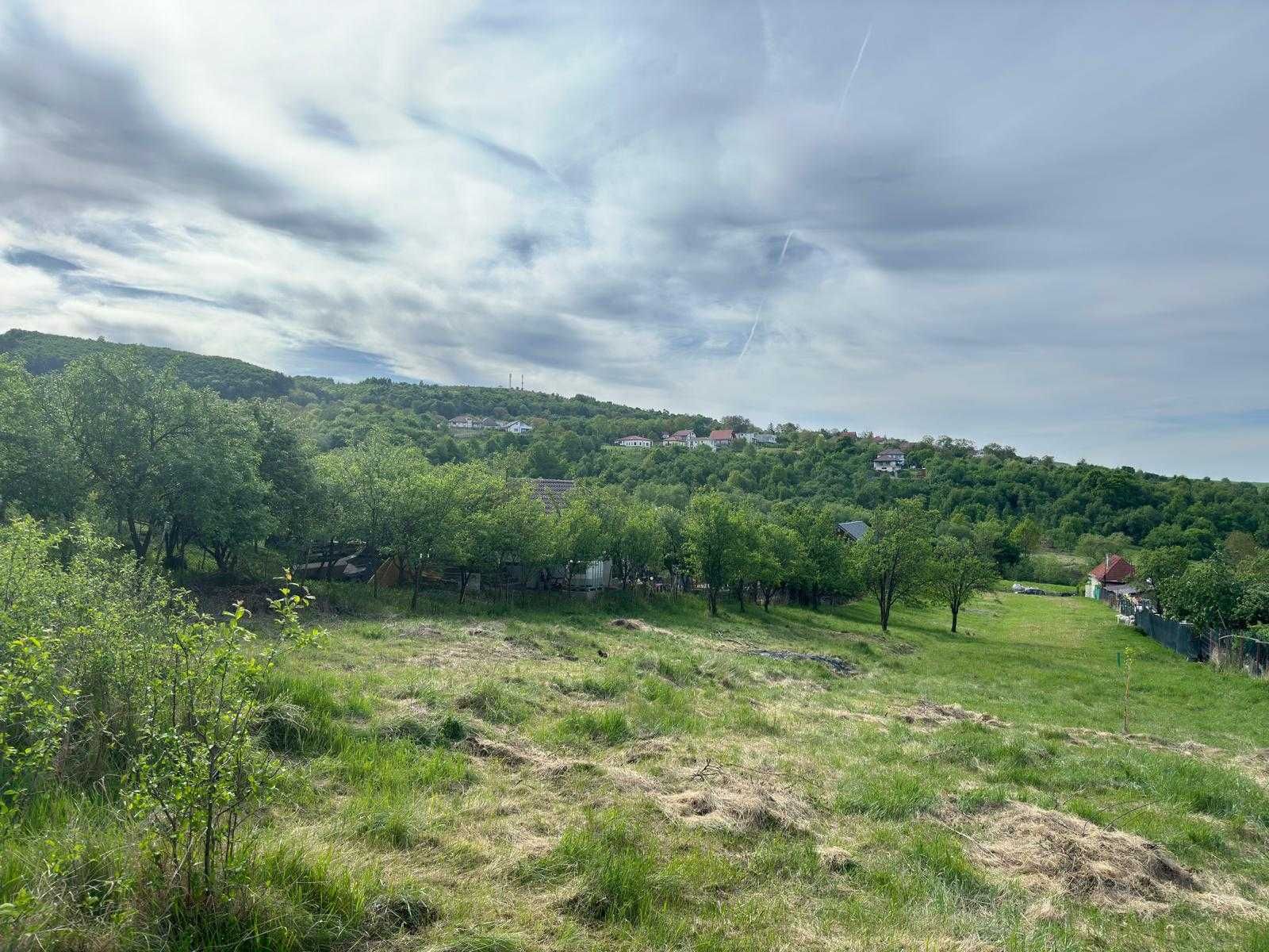 Teren Popesti (Vale) 700+200mp intravilan+AUTORIZATIE SI PROIECT CASA