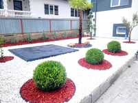 Plante Decorative – Transport Personalizat și Gratuit