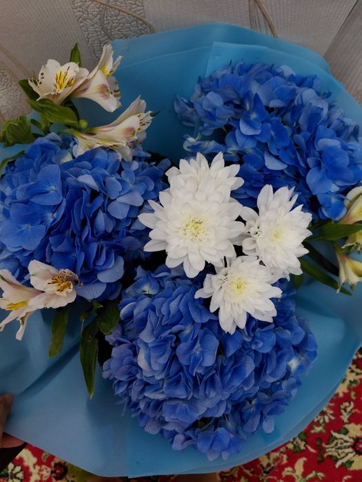 Огромное цветый хорошие состояни новыйе